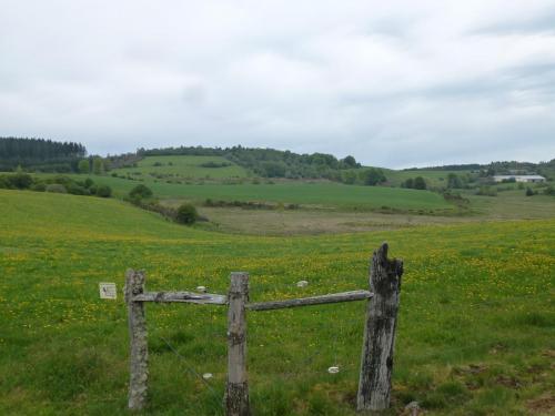 P1140698