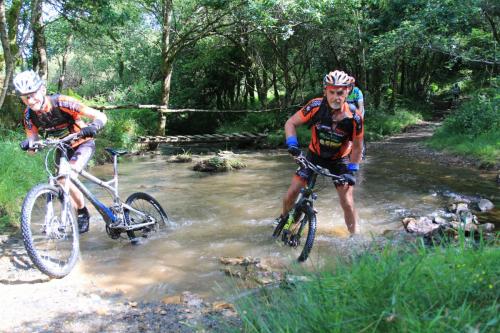 IMG 9126