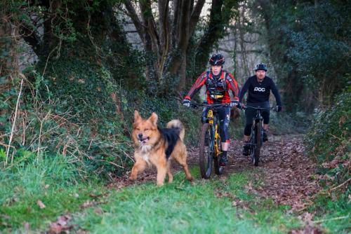 vtt 2019-18