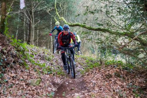 vtt 2019-76