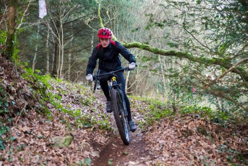 vtt 2019-81