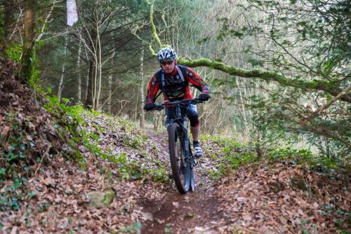 vtt 2019-83